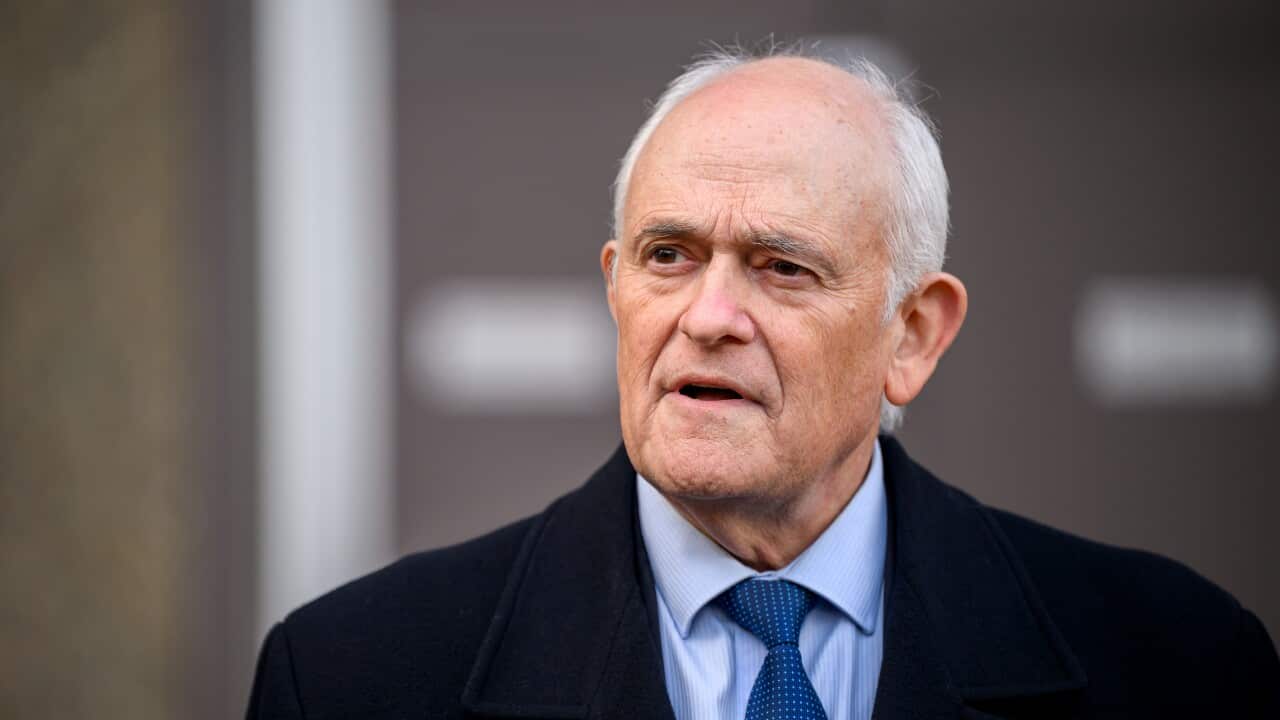 WISSAM HADDAD COURT Peter Wertheim