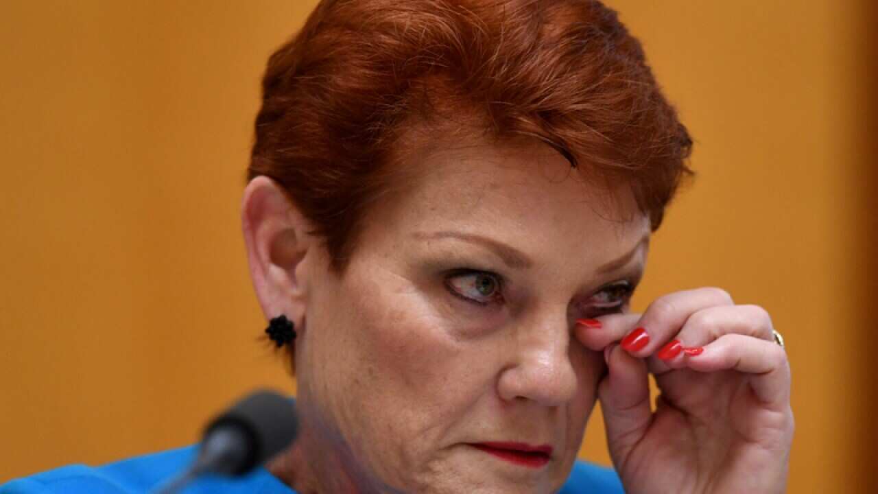 One Nation leader Pauline Hanson