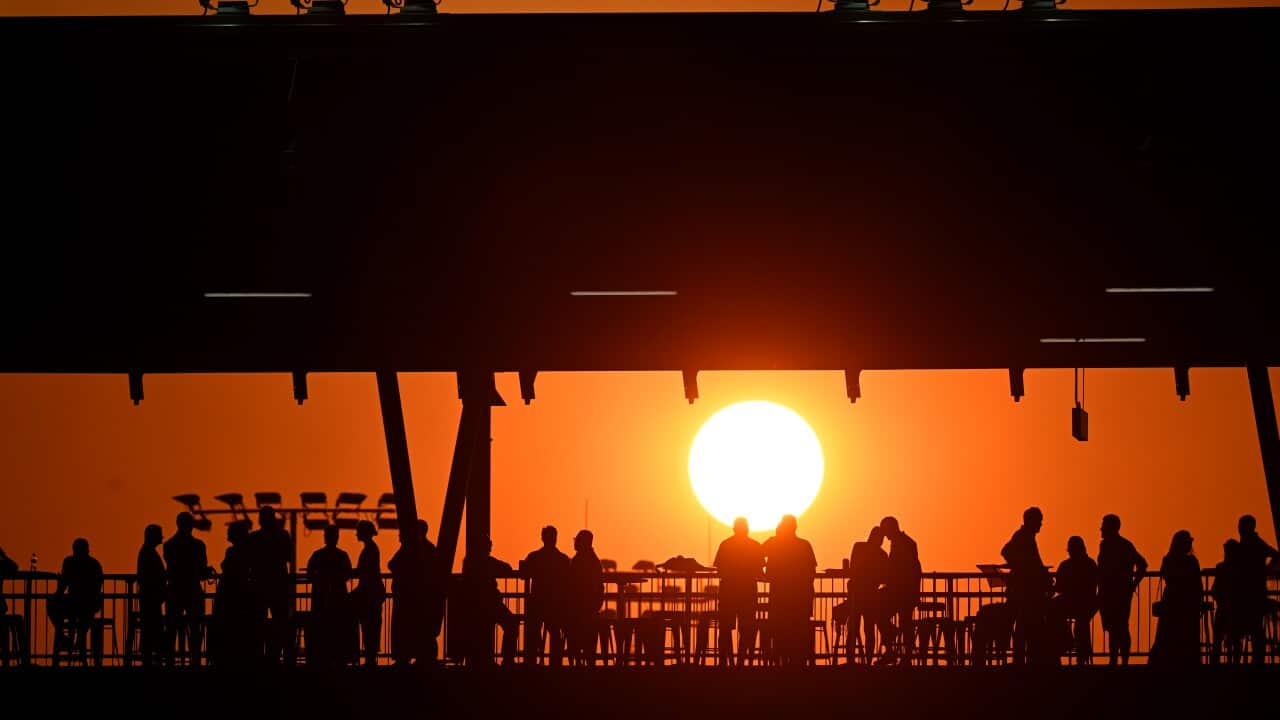 AFL SUNS KANGAROOS