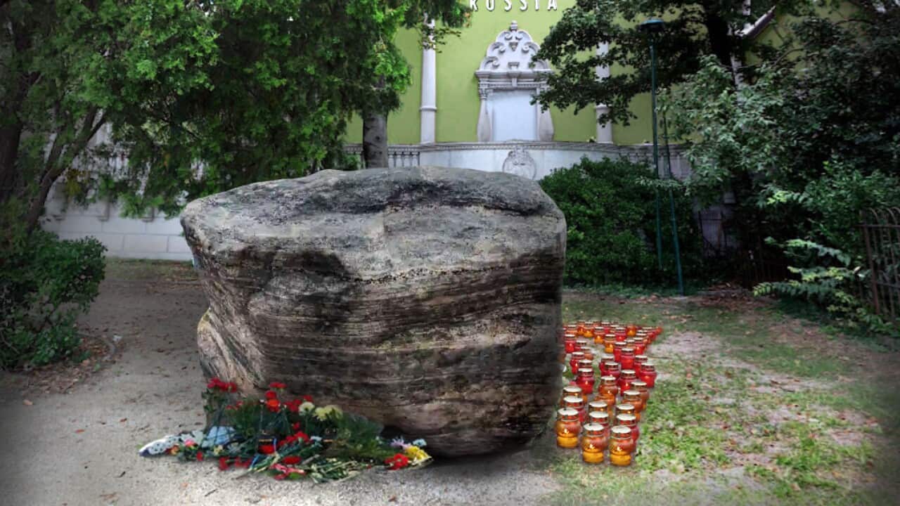 Image for read more article 'READ MORE'