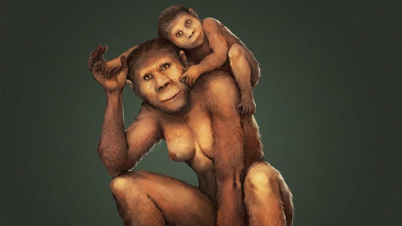 Illustration of the mother-infant bond of Australopithecus africanus/Garcia and Joannes-Boyau