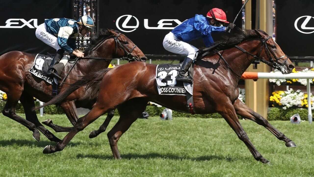 Cross Counter ridden by Jockey Kerrin McEvoy wins the 2018 Melbourne Cup at Flemington Racecourse in Melbourne, Tuesday, November 6, 2018. (AAP Image/Dave Crosling) NO ARCHIVING, EDITORIAL USE ONLY
