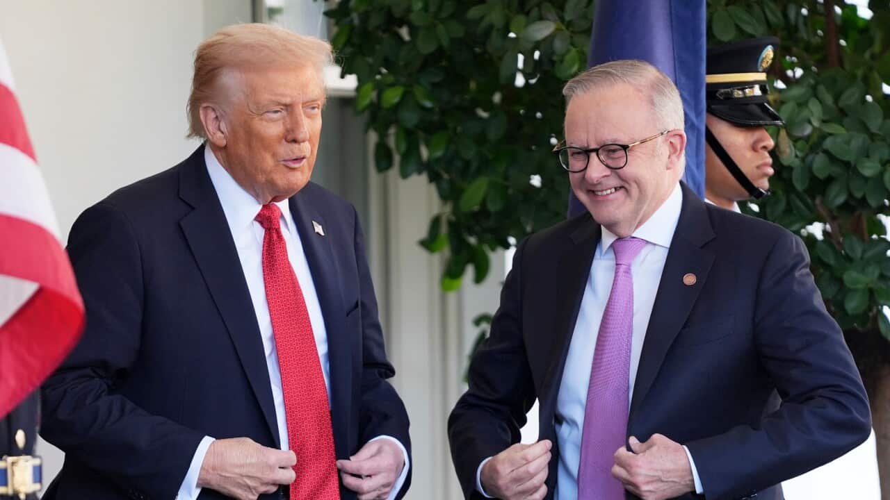 Donald Trump,Anthony Albanese