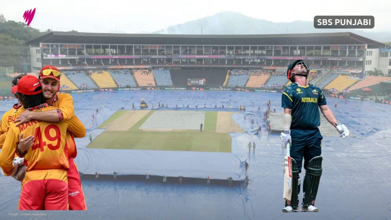 MP's 16x9 (Presentation) (10).jpg