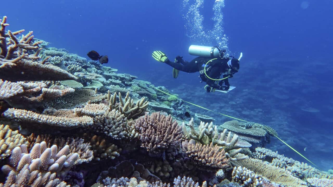 Australia Great Barrier Reef