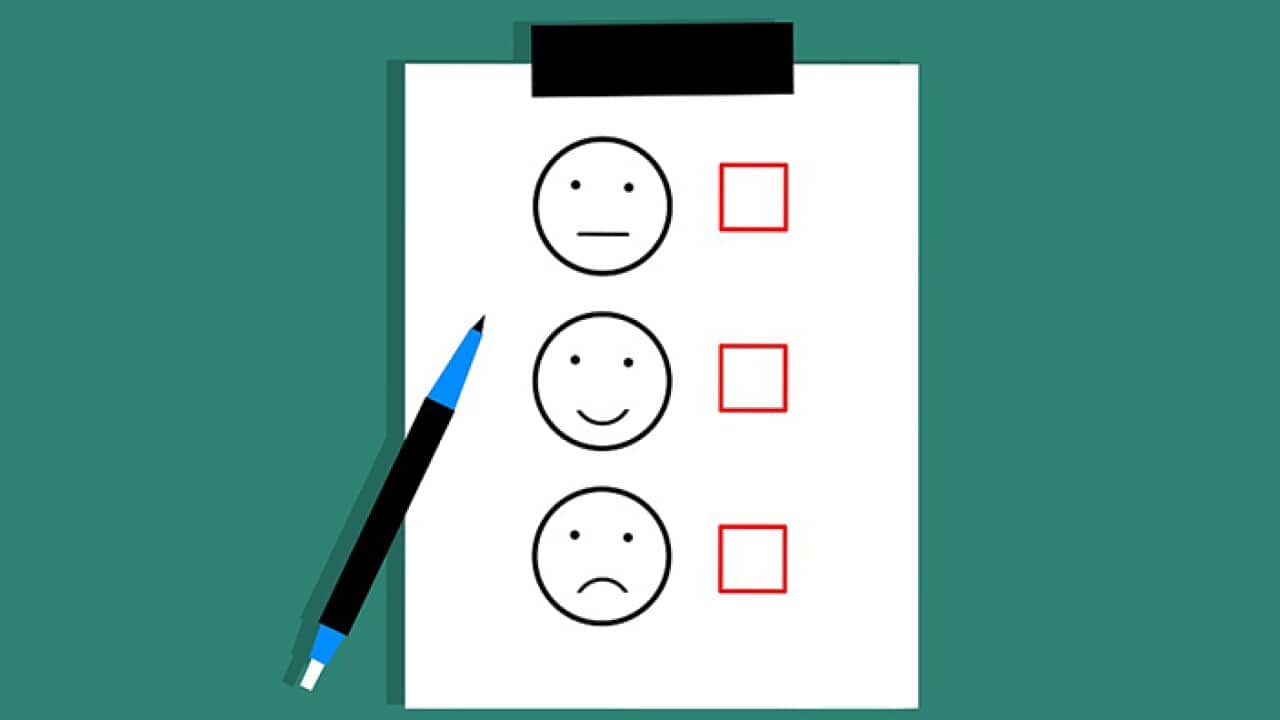 feedback