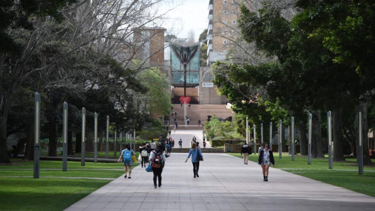 UNSW Students