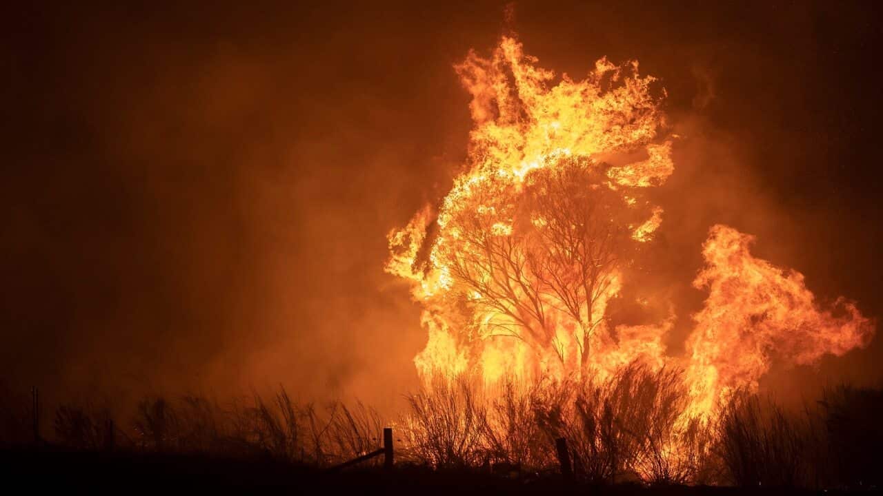 Bushfires were a challenging start to Australia's year
