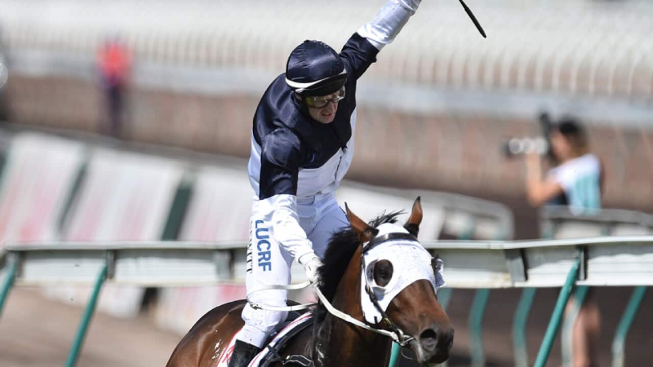Craig Newitt reacts after he rode Tarzino to victory.