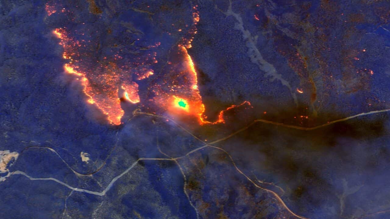 Image for read more article ''