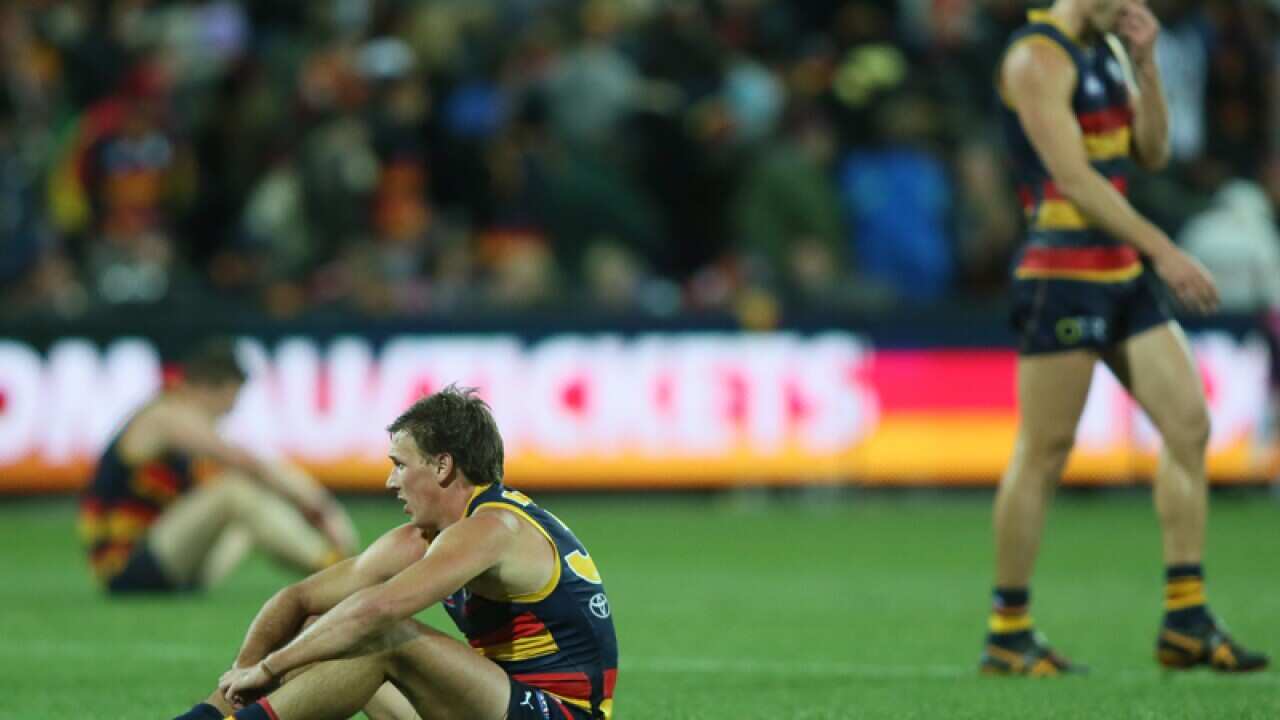 Brodie Martin of the Adelaide Crows