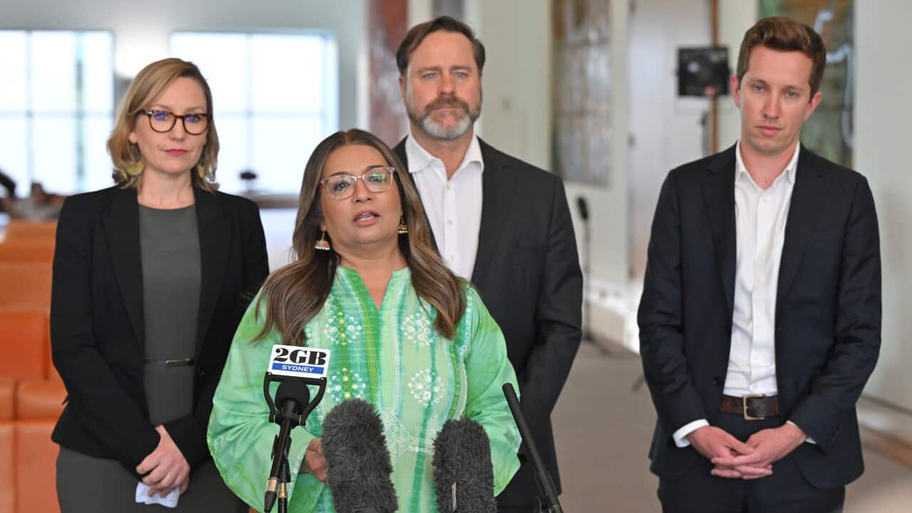 MEHREEN FARUQI GREENS PRESSER