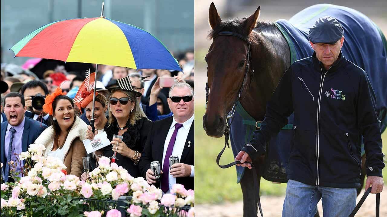 Money flooding in for Melbourne Cup favourite Marmelo as racegoers contend with one of the coldest race days.