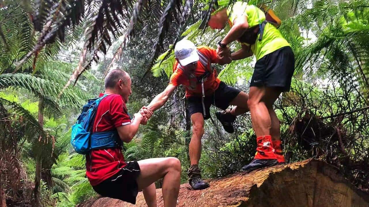 Image for read more article ''