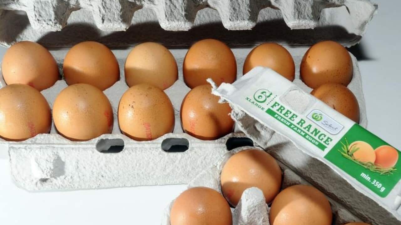 cartons of eggs at Woolworths