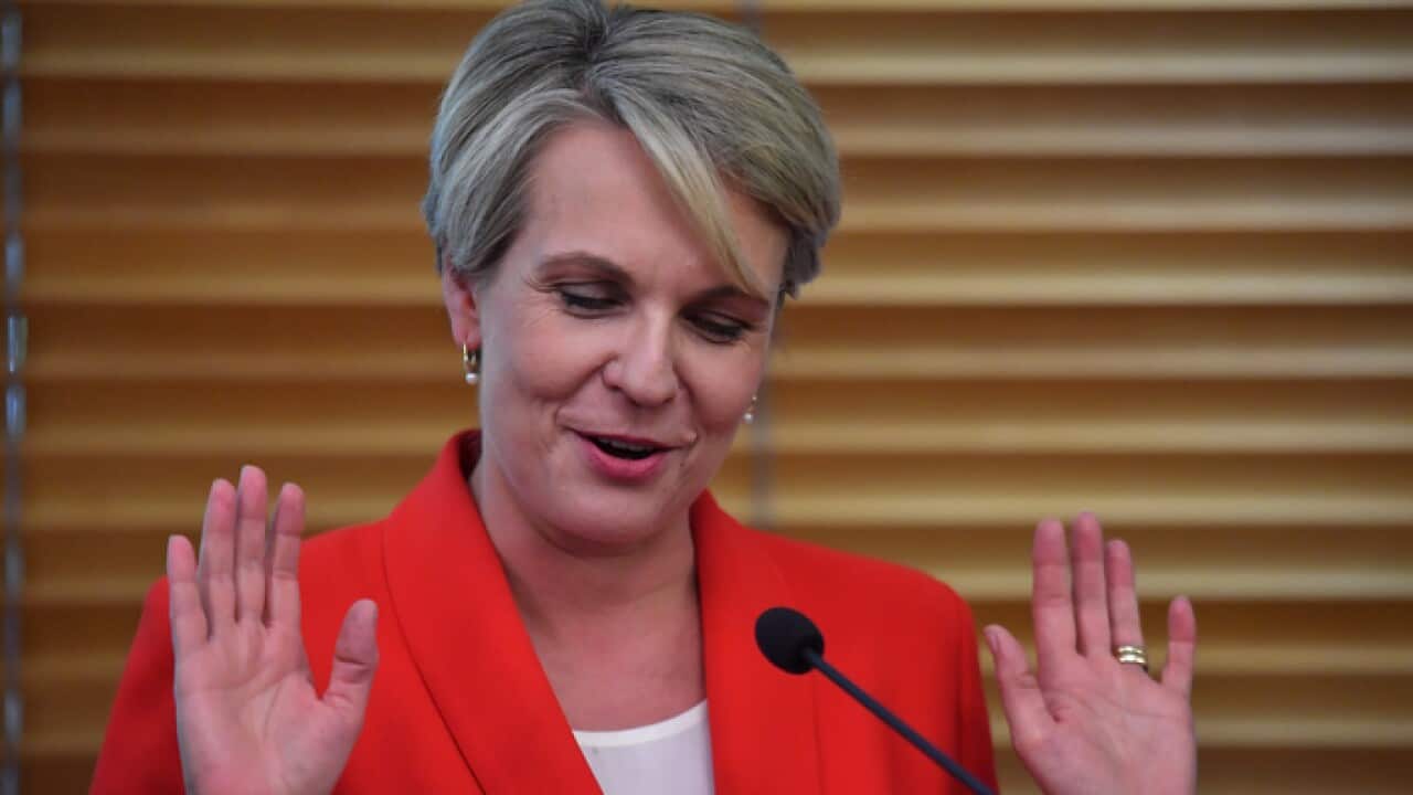 Deputy Leader of the Opposition Tanya Plibersek speaking at Labor's Women's Budget Statement event at Parliament House in Canberra, Thursday, April 4, 2019. (AAP Image/Mick Tsikas) NO ARCHIVING