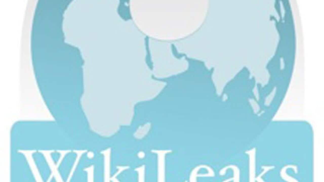 wikileaks_100325_B_wikileaksdotorg_1087134621