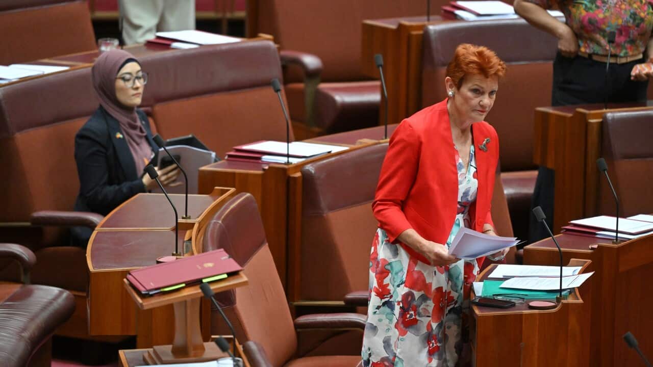 PAULINE HANSON SENATE MOTION