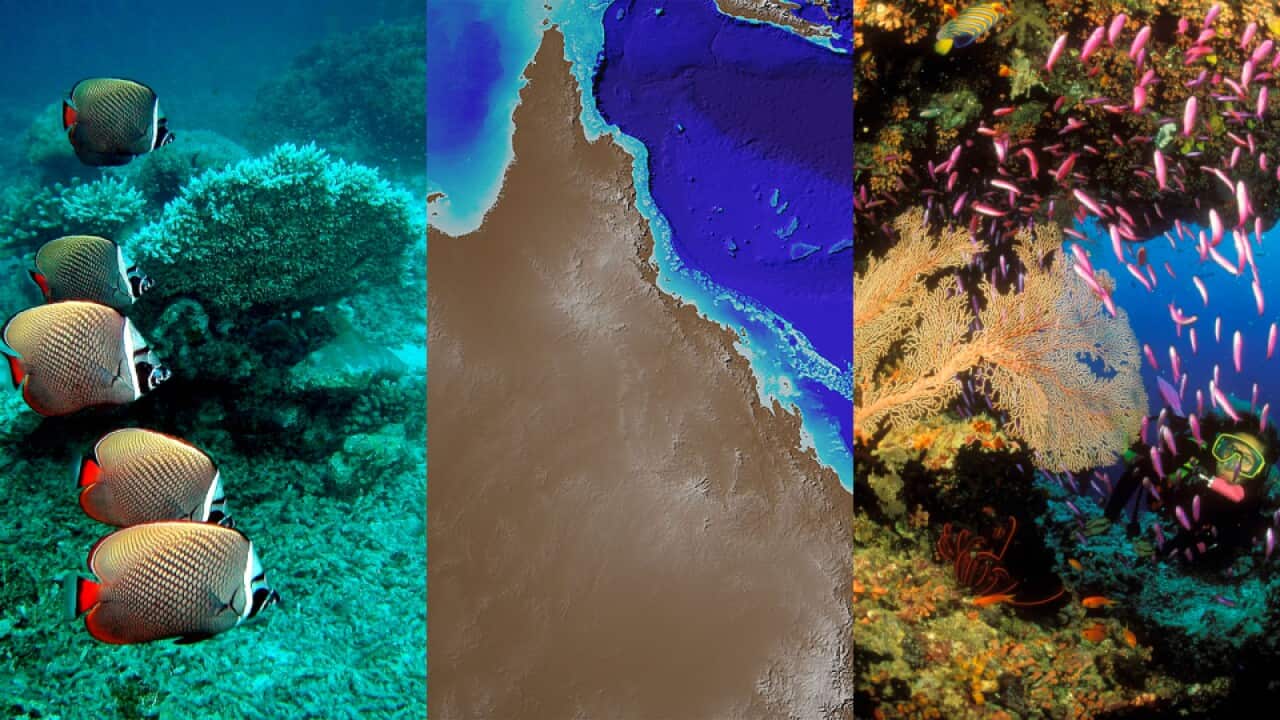 Namma Australia - Geetha.jpg