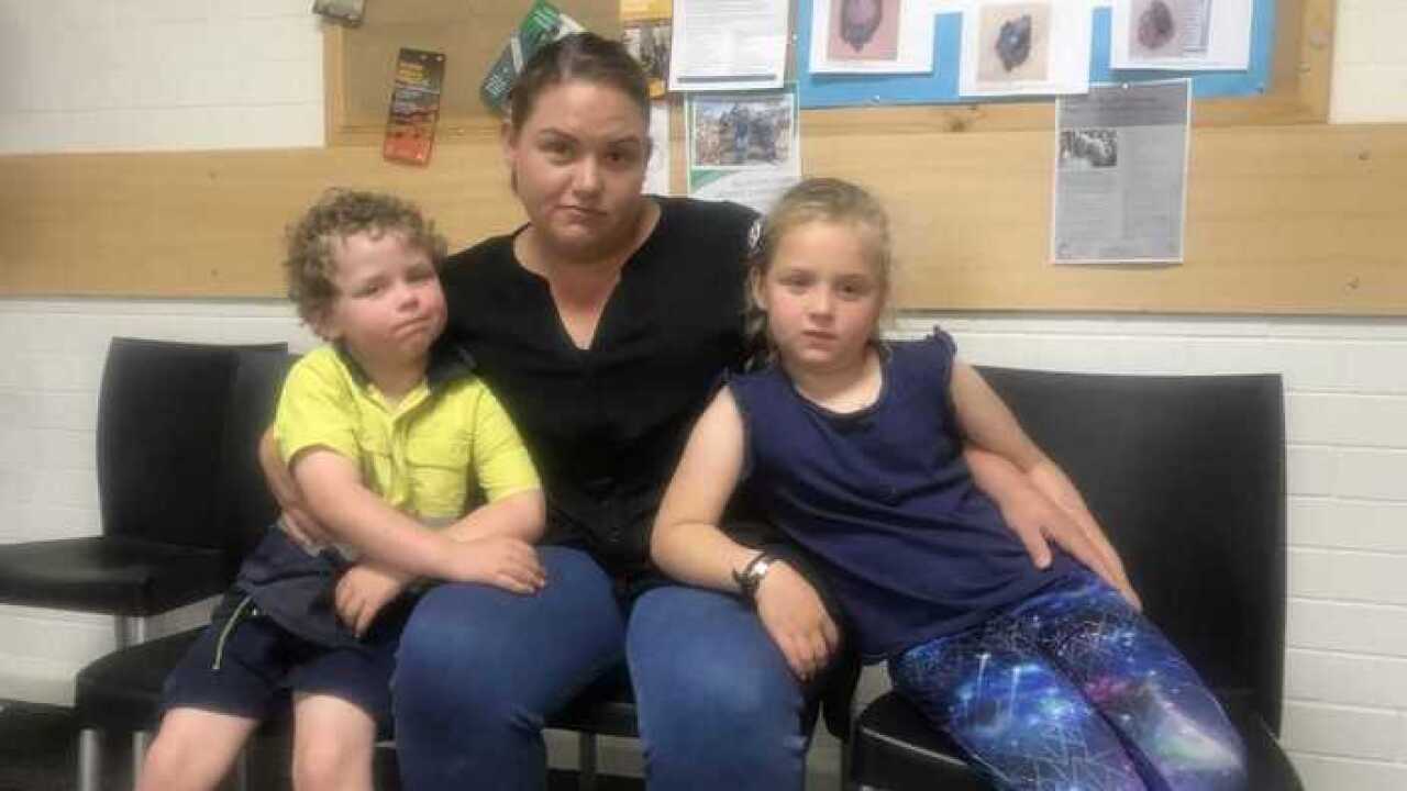 Image of the Strauss family