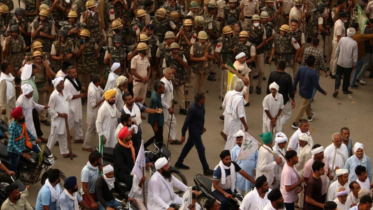 Farmers participate in a protest against the proposed laws in India's northern state of Haryana. 