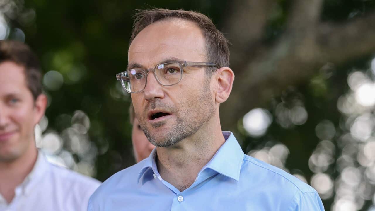 Adam Bandt speaking outside, wearing a blue shirt.