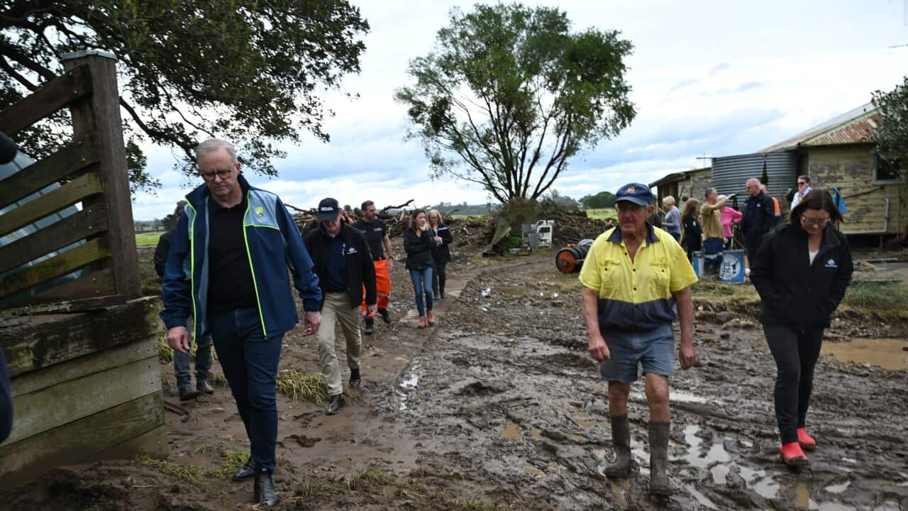 Image for read more article 'READ MORE'