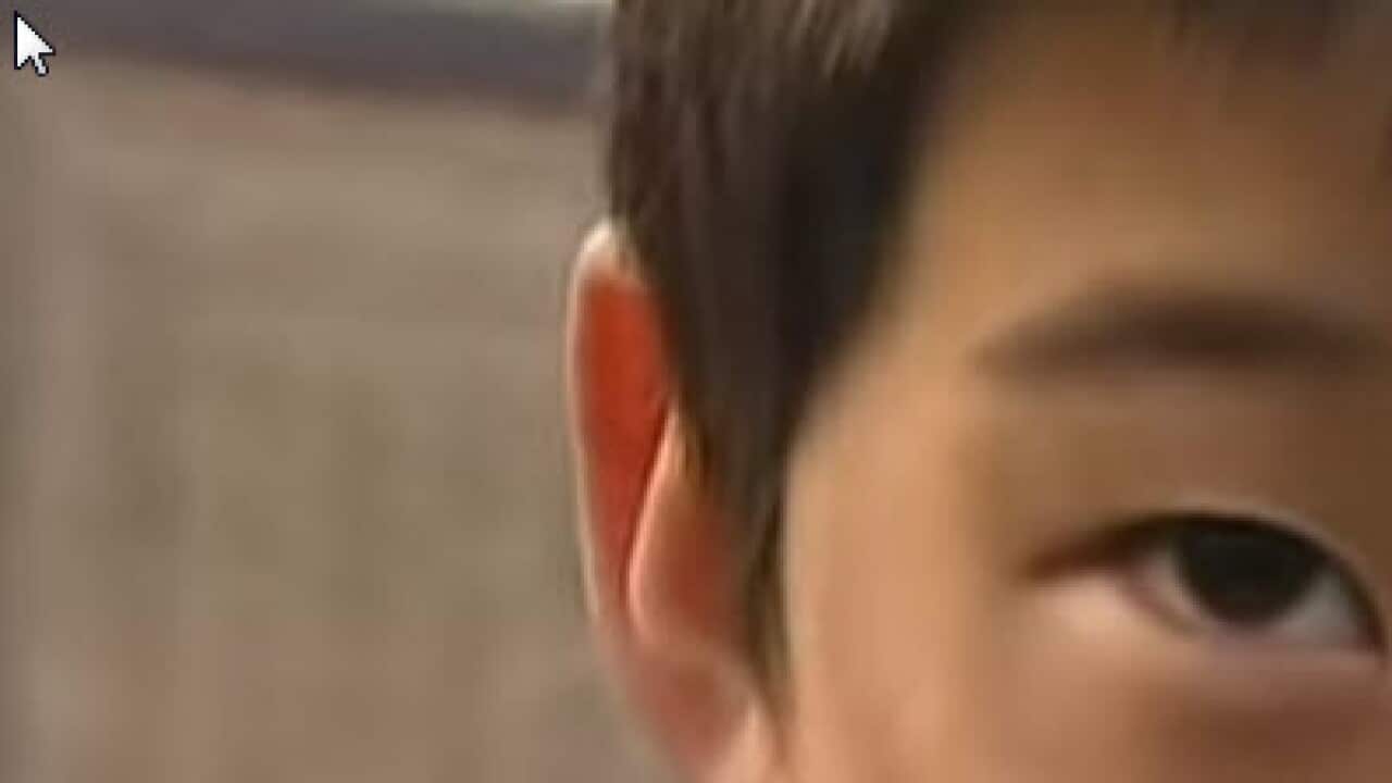 the little theif Yanzi Li San