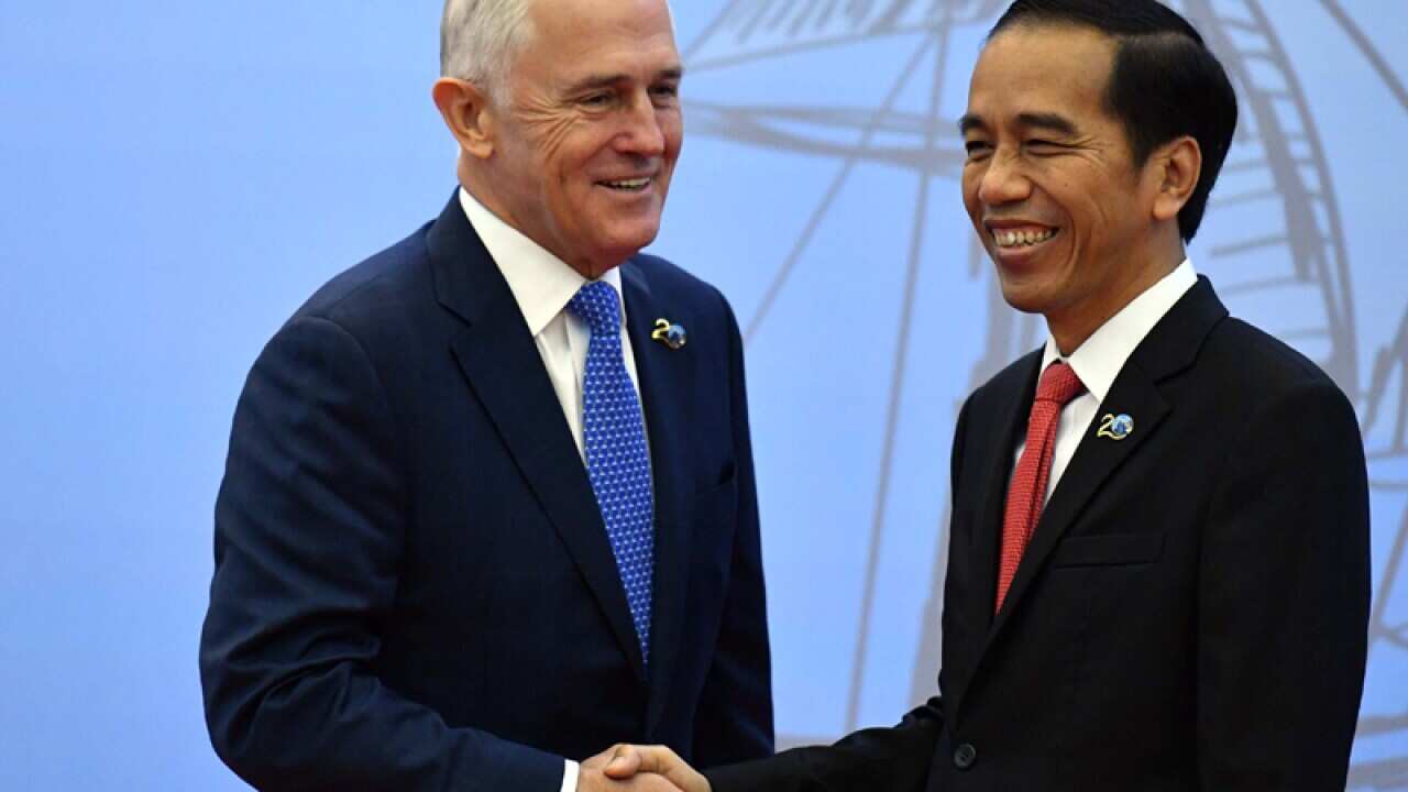 Malcolm Turnbull is greeted by Indonesia's President Joko Widodo