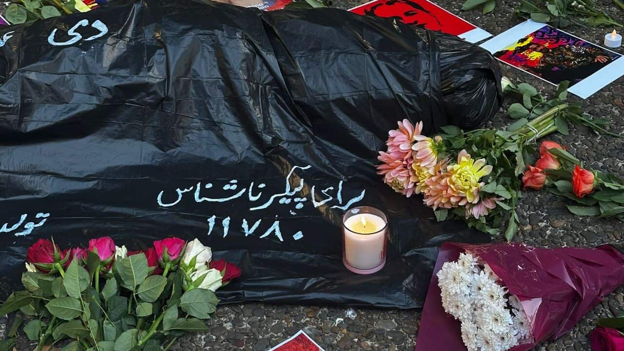 WhatsApp Image 2026-01-20 at 9.01.23 PM.jpeg