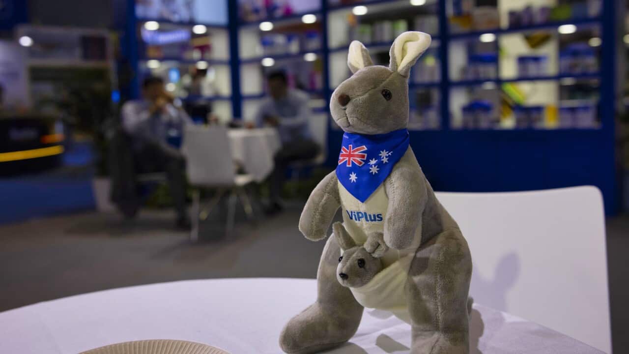 Image for read more article ''