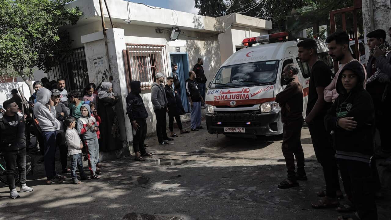 Ambulances transport premature babies evacuated from Gaza’s Al-Shifa hospital, at the Emirates Crescent Hospital in Rafah, southern Gaza