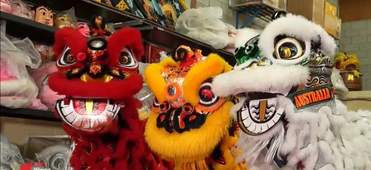 Queensland Lion dancers celebrate Lunar New Year