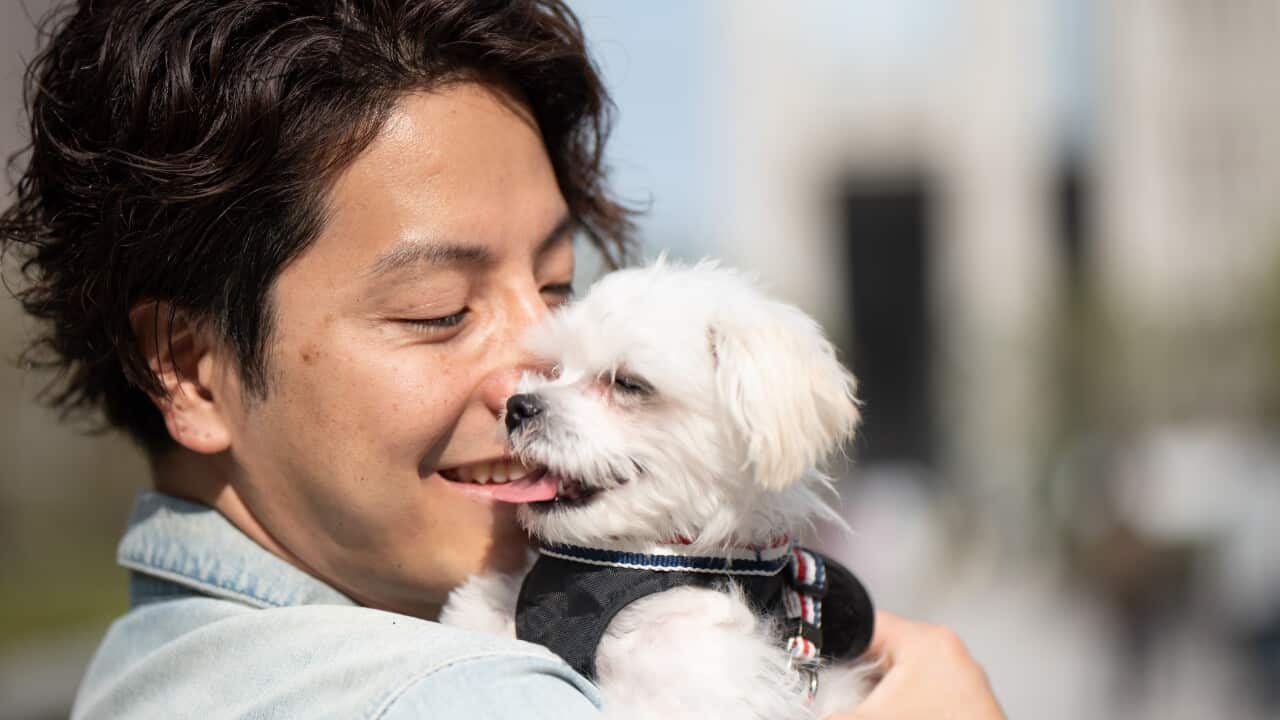 Image for read more article ''