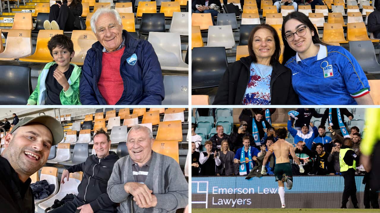 Untitled design (4).png