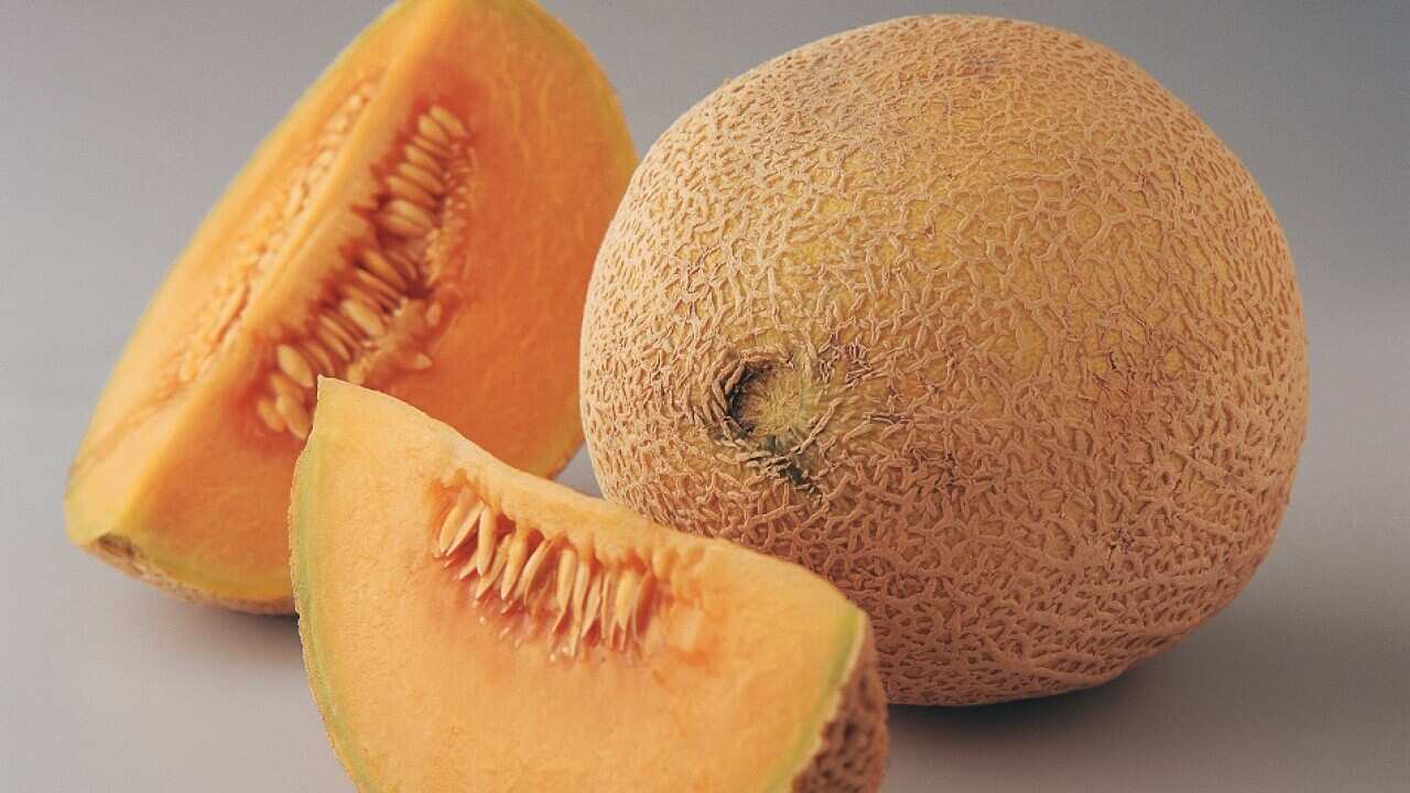 Rockmelon crisis talks after listeria outbreak SBS News
