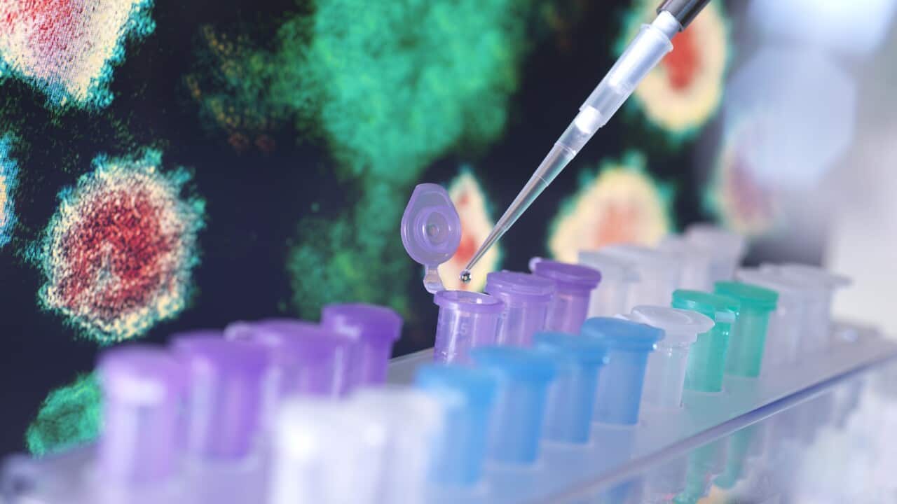 Pharmaceutical research into diseases and pandemics.