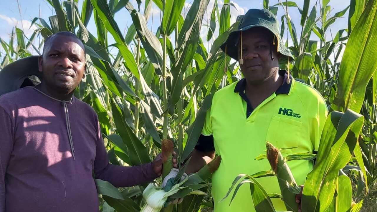 Bw Paul Irungu na mshiriki wake Handson Nhanhanga