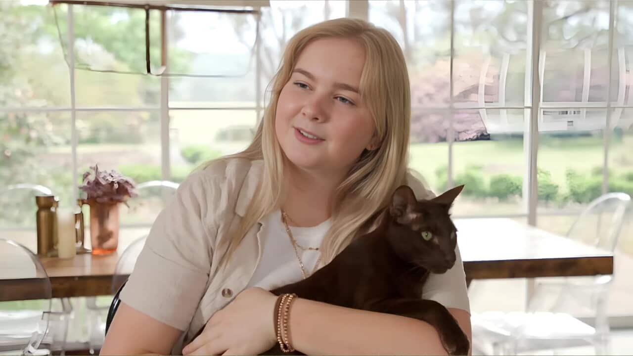 Image for read more article ''