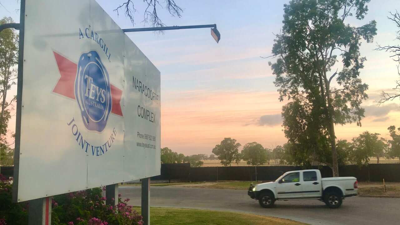 Image for read more article ''