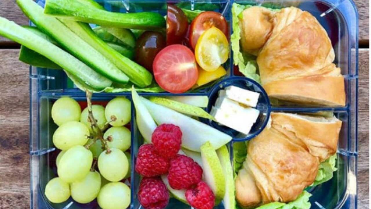 School Lunch Box George Georgievski