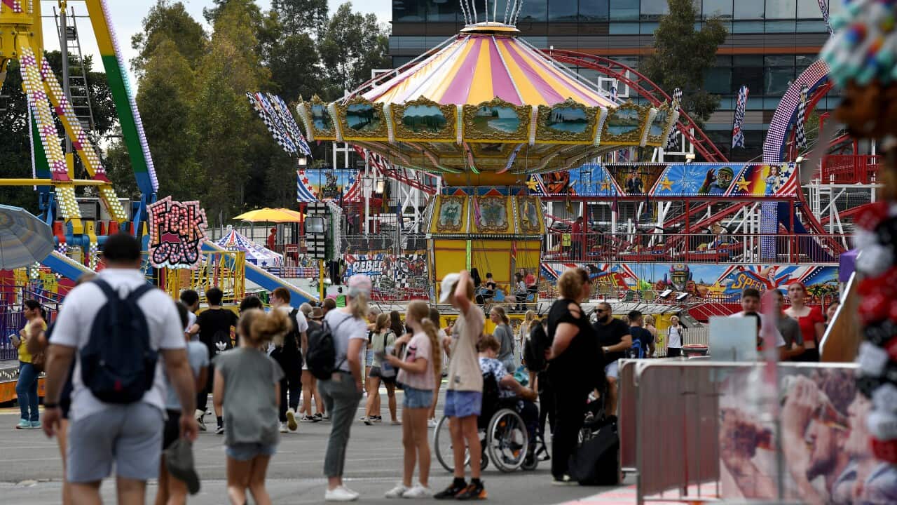 SYDNEY EASTER SHOW STOCK