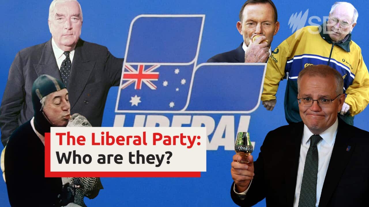 The Liberal Party: A brief history SBS News