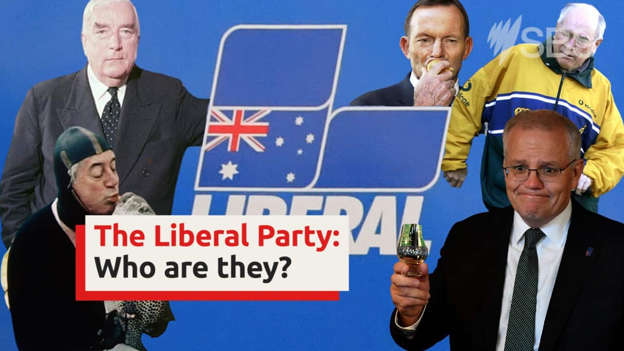 The Liberal Party A Brief History Sbs News