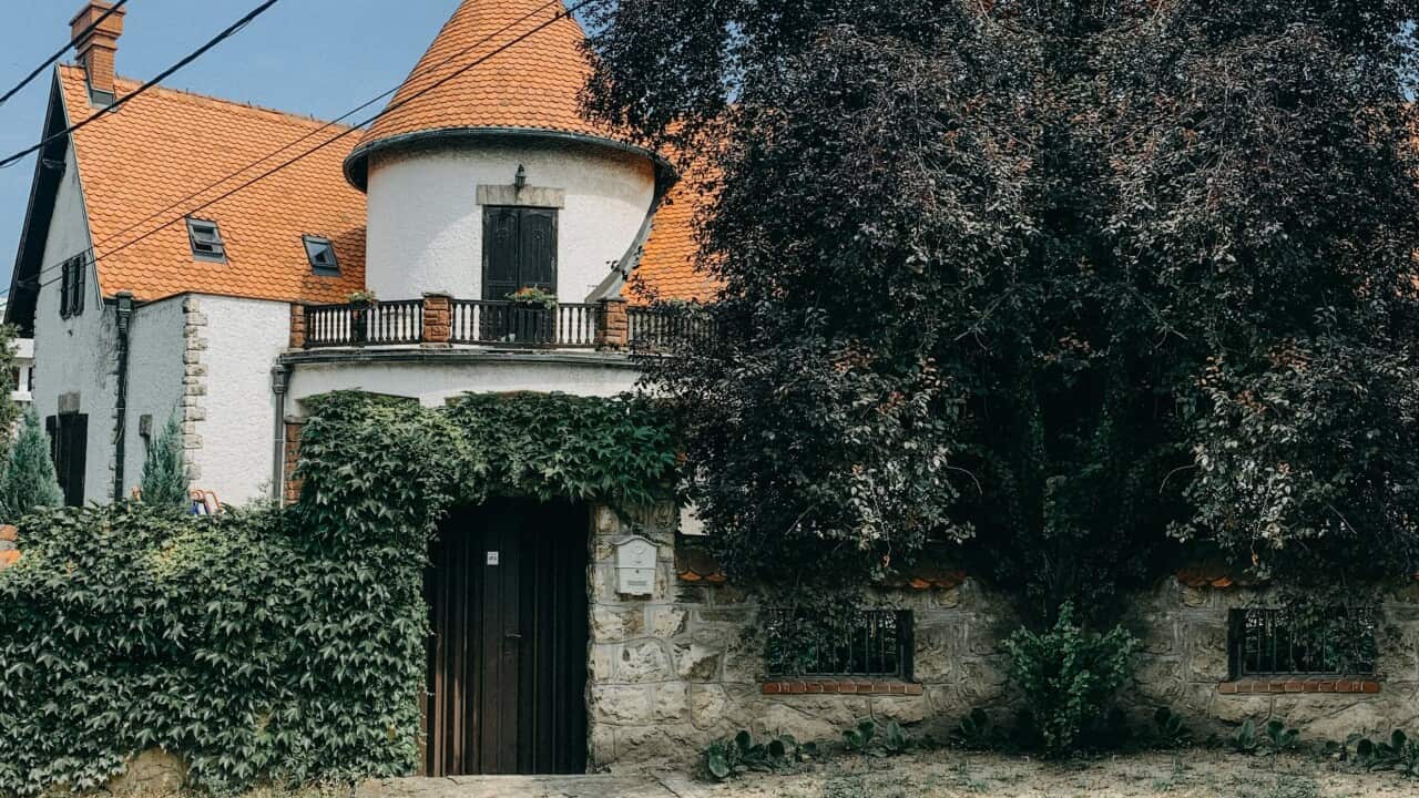 edit mirko-jeremic-tJdLNbkjxL0-unsplash.jpg