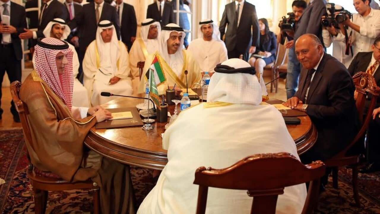 Adel al-Jubeir, Abdullah bin Zayed al-Nahyan, Sameh Shoukry