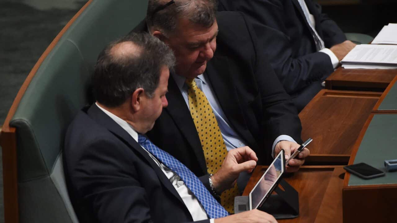 Hughes MP Craig Kelly (R) shares something on his phone with Tangney MP Dennis Jensen during Question Time.