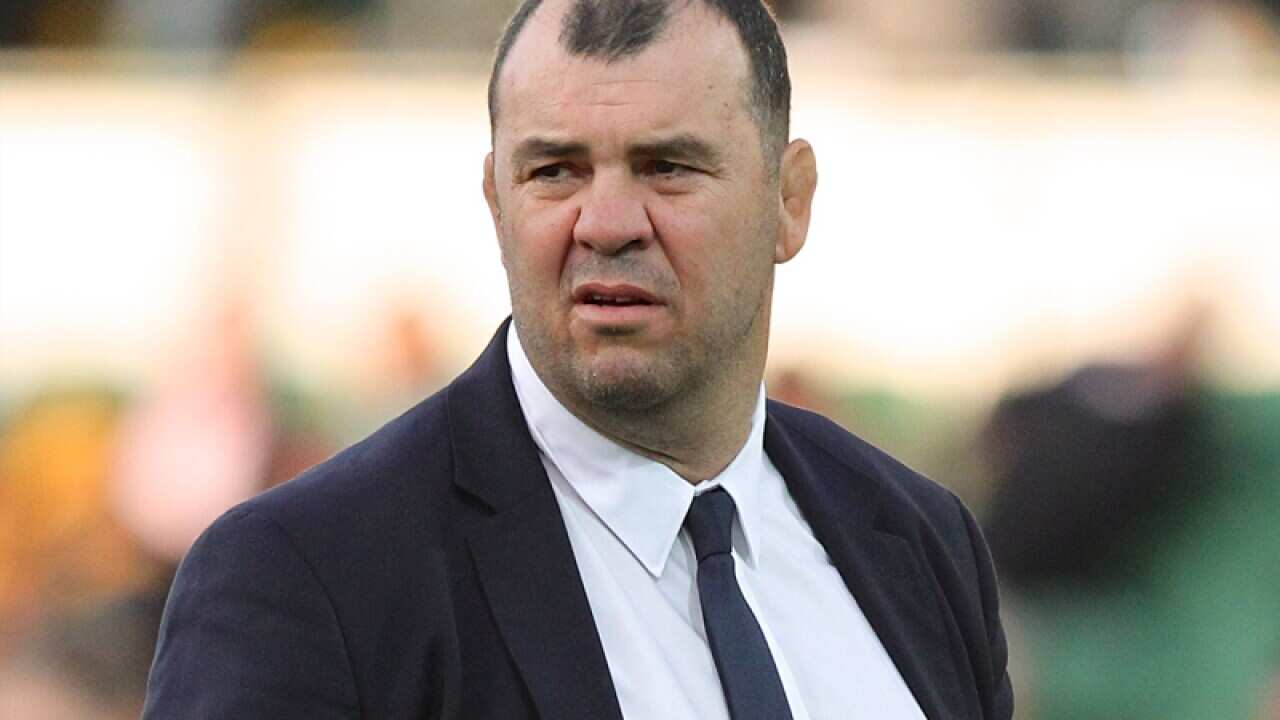 Wallabies coach Michael Cheika