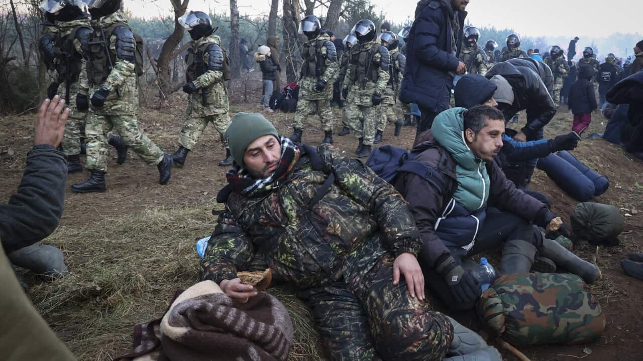 Poland Belarus Migrants