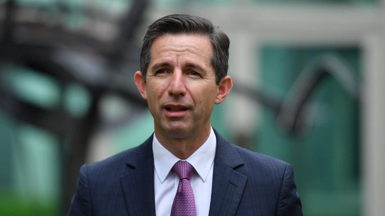 Image for read more article 'READ MORE'